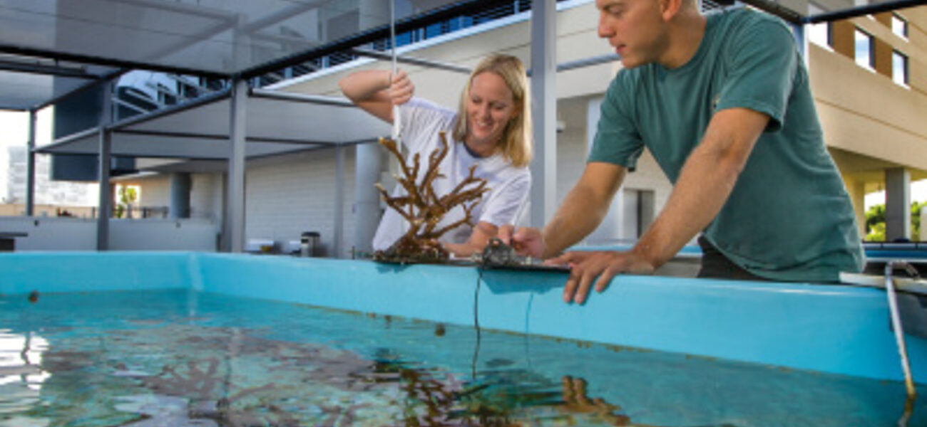 Exterior Coral Growing Tank