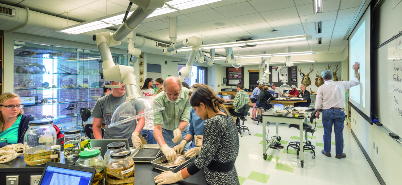 Advanced Biology Lab