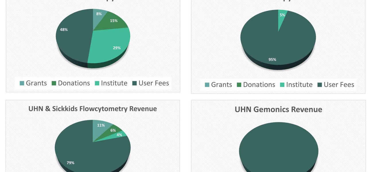 Core Revenue Sources