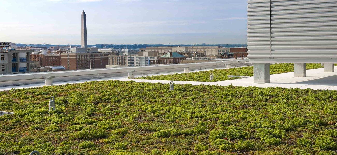 Green Roof