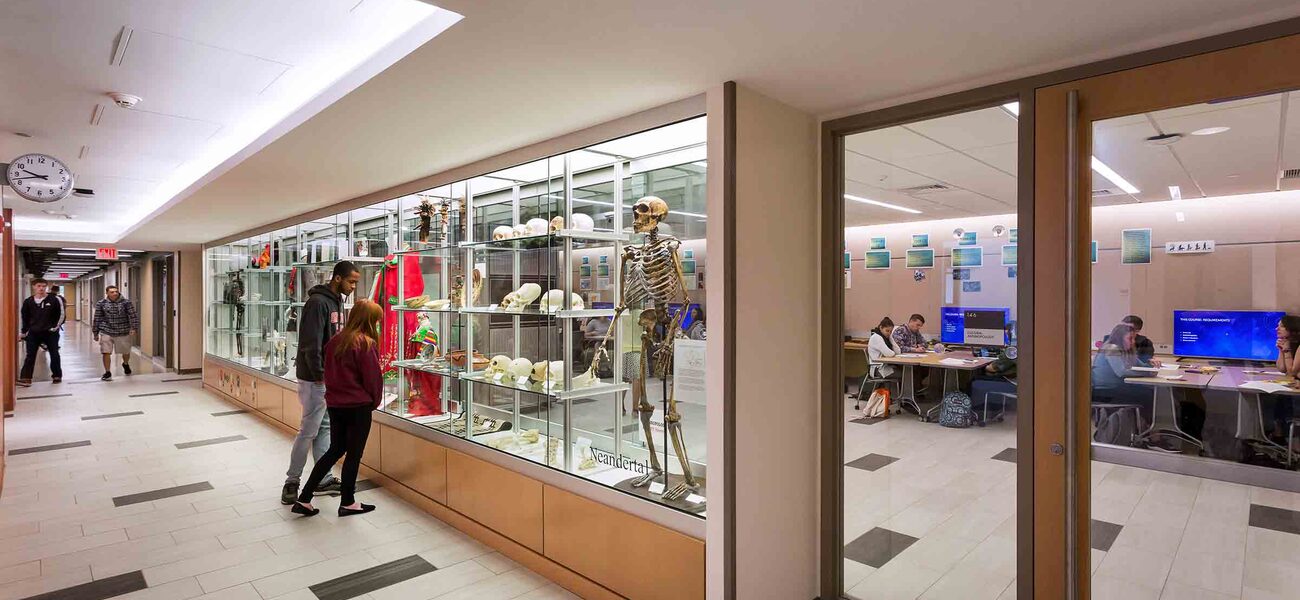 Anthropology Teaching Gallery