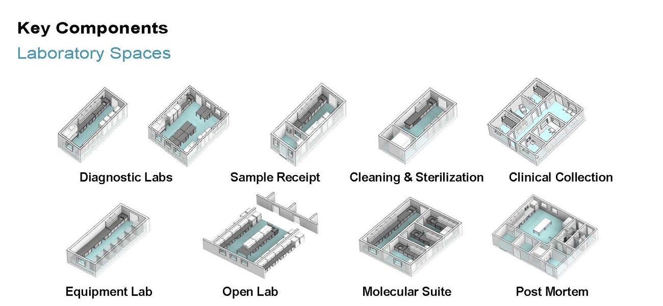 3-D Visualization