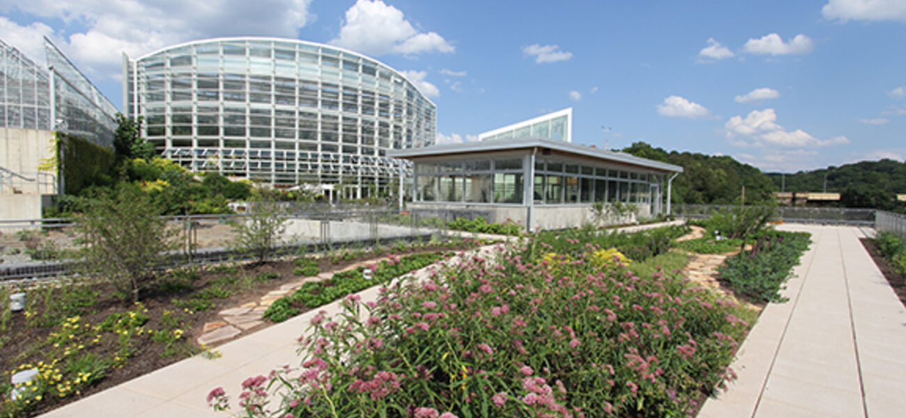 Green Roof