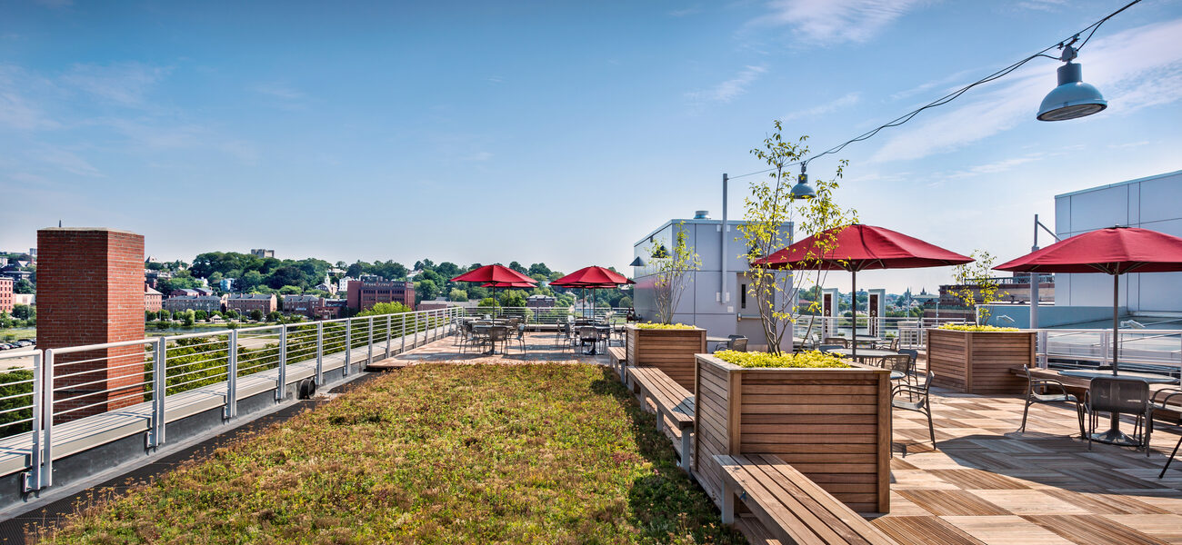 Roof Terrace