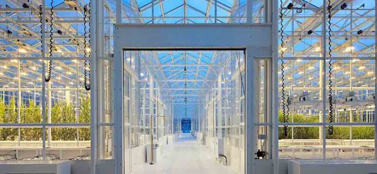 Greenhouse Gl2/Gl3 and growing space  Greenhouse Gl2/Gl3 and growing space