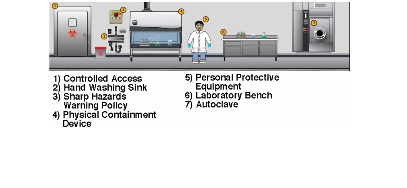 What is a BSL (Biosafety Level 3) 3-Lab