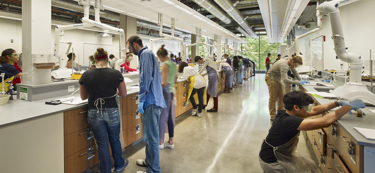 A row of men and women stand working at lab tables