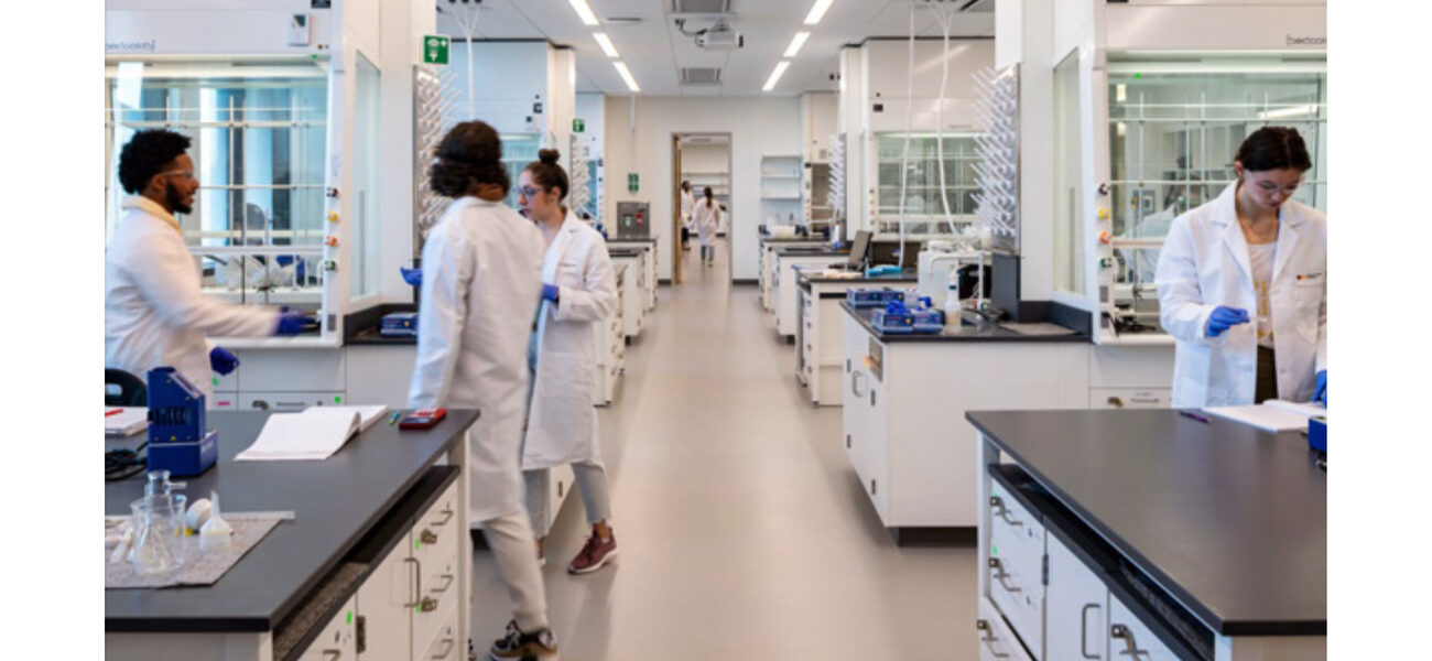 Men and women work at a row of lab benches