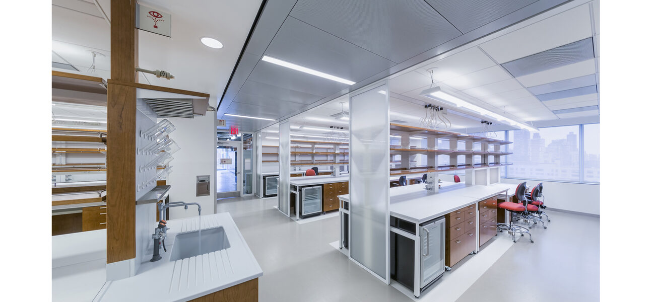 Large room woth a sink on one side, rows of lab benches in the middle and windows lining the far wall.