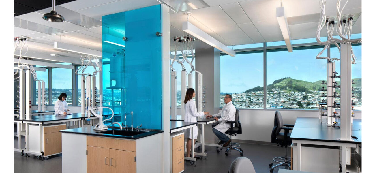 Scientists in lab coats work at lab benches in front of a wall of windows.