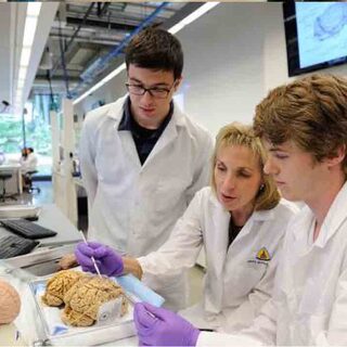 Neuroscience Lab