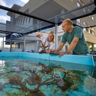 Exterior Coral Growing Tank