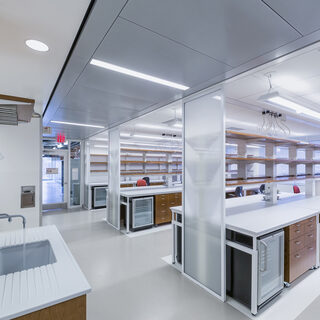 Large room woth a sink on one side, rows of lab benches in the middle and windows lining the far wall.